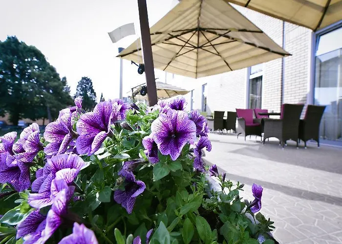 Готель City Hotel